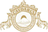 ÇAVDARCI İTHALAT İHRACAT PETROL TEKSTİL GIDA SAN.TİC.LTD.ŞTİ